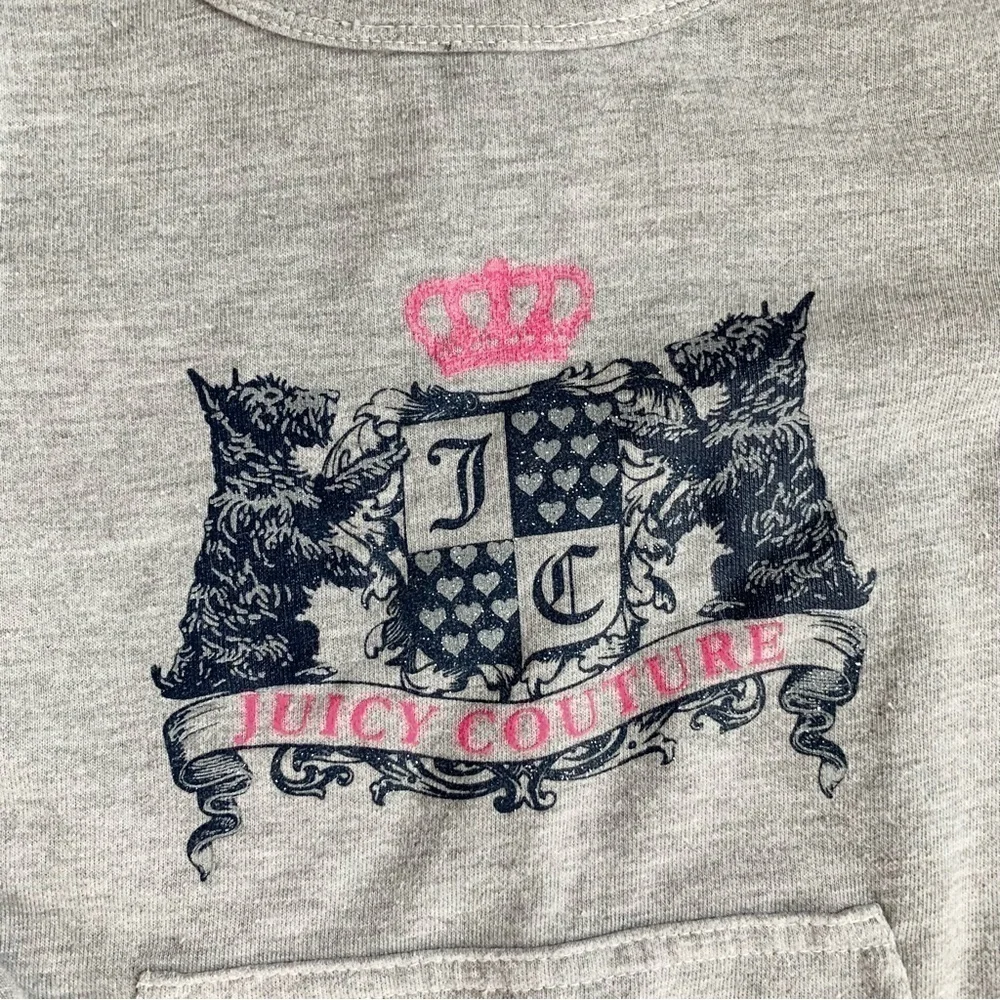 Juicy Couture Terry Cloth Gray Long Sleeve Top w/ Hot Pink Lace Accents Size 5 - Picture 2 of 6